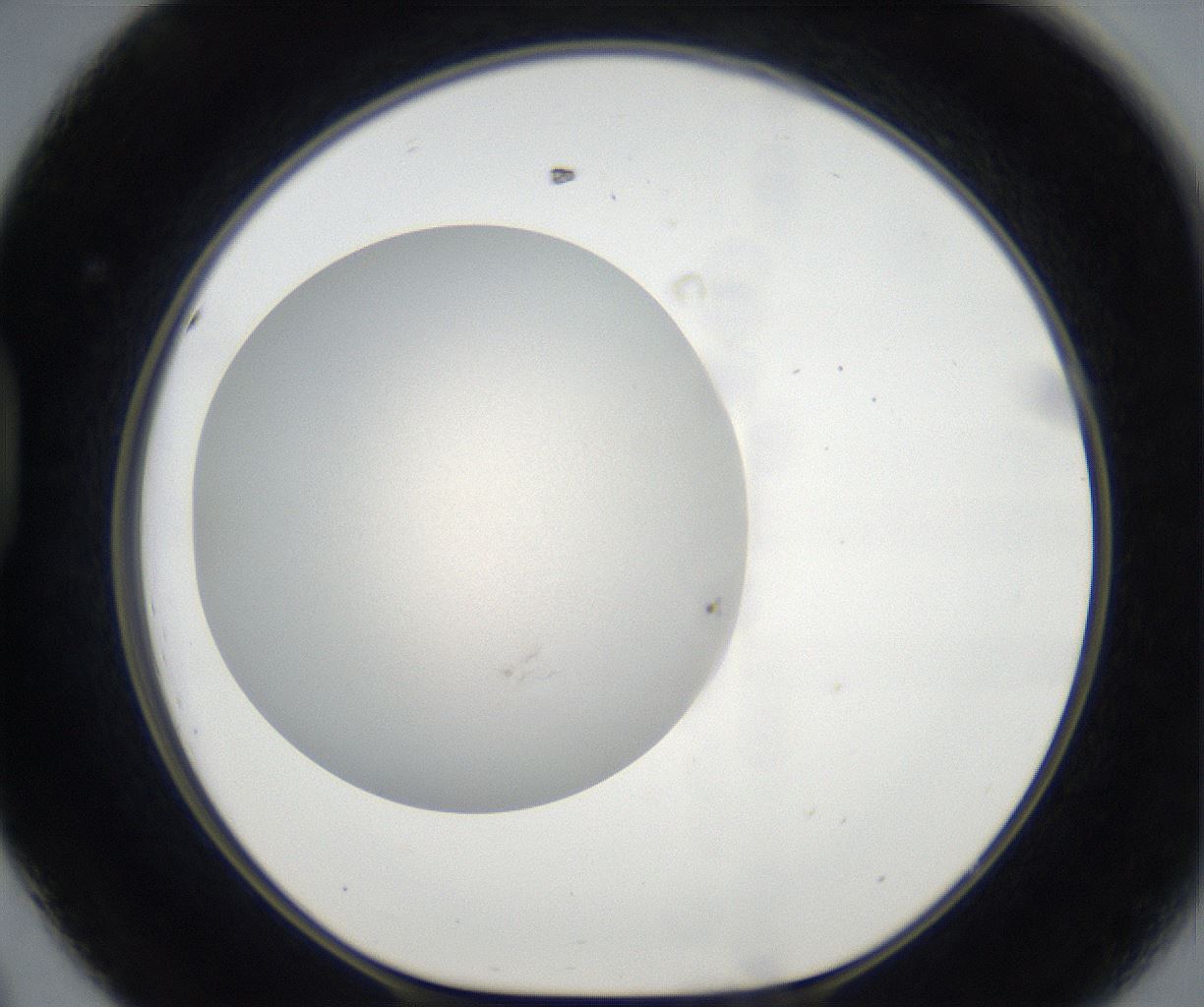 folderID171_plateID2171_batchID9605_wellNum44_profileID1_d1_r145885_ef.jpg