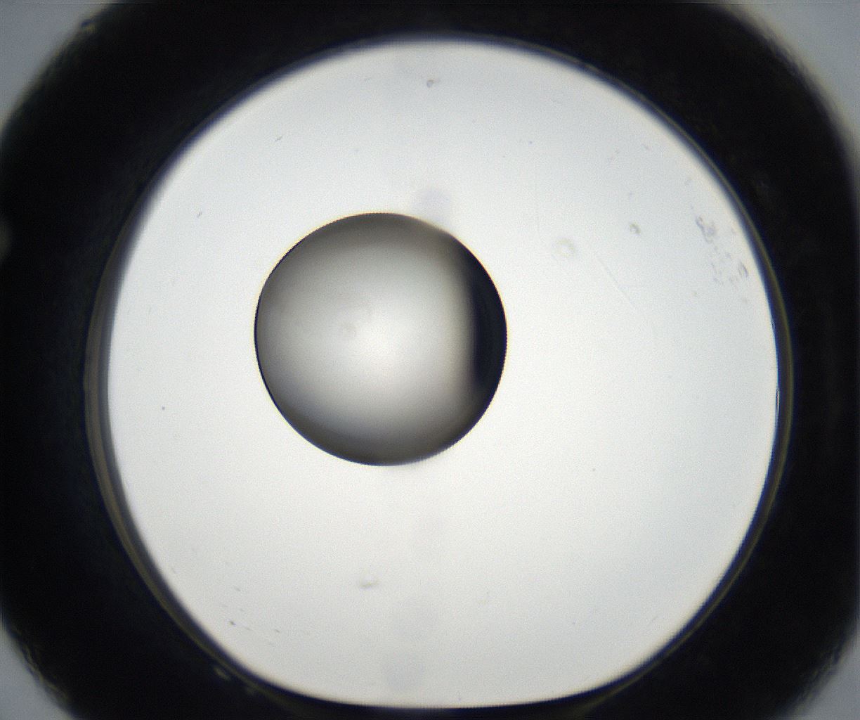 folderID171_plateID2171_batchID9605_wellNum68_profileID1_d1_r145933_ef.jpg