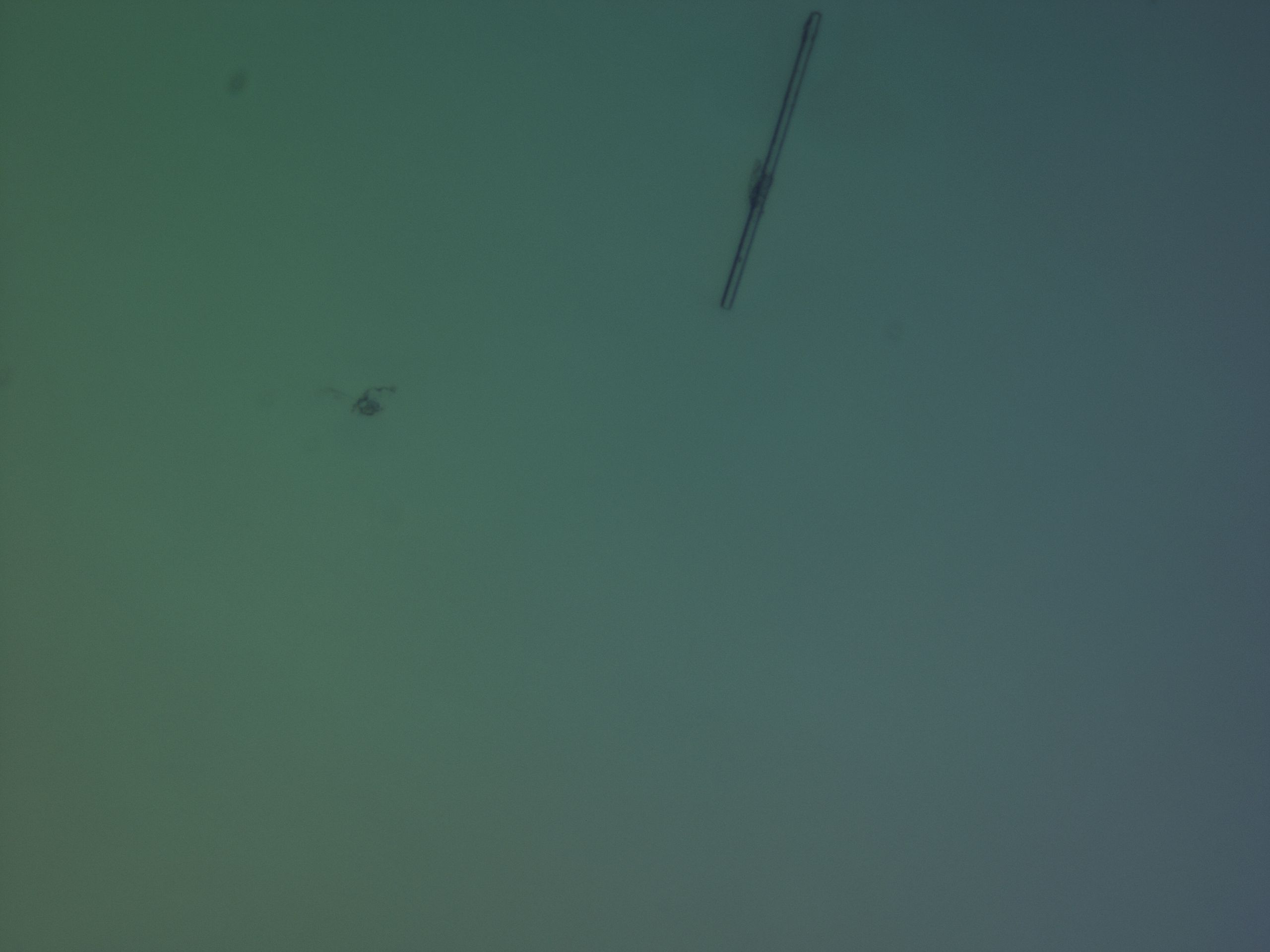 030t_C10_HighResolution_7.jpg
