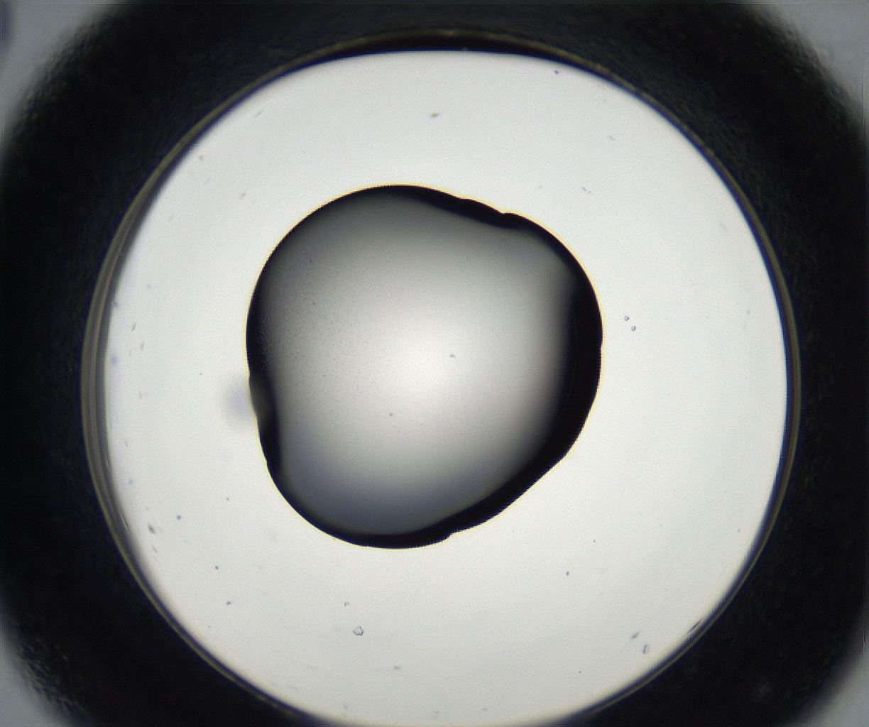 folderID175_plateID2175_batchID9608_wellNum44_profileID1_d2_r147038_ef.jpg