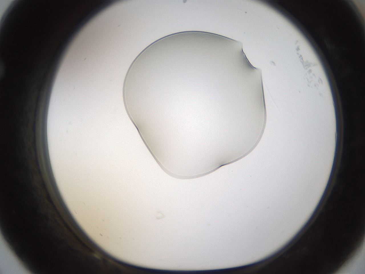 folderID176_plateID1176_batchID3247_wellNum68_profileID1_d1_r64706_ef.jpg