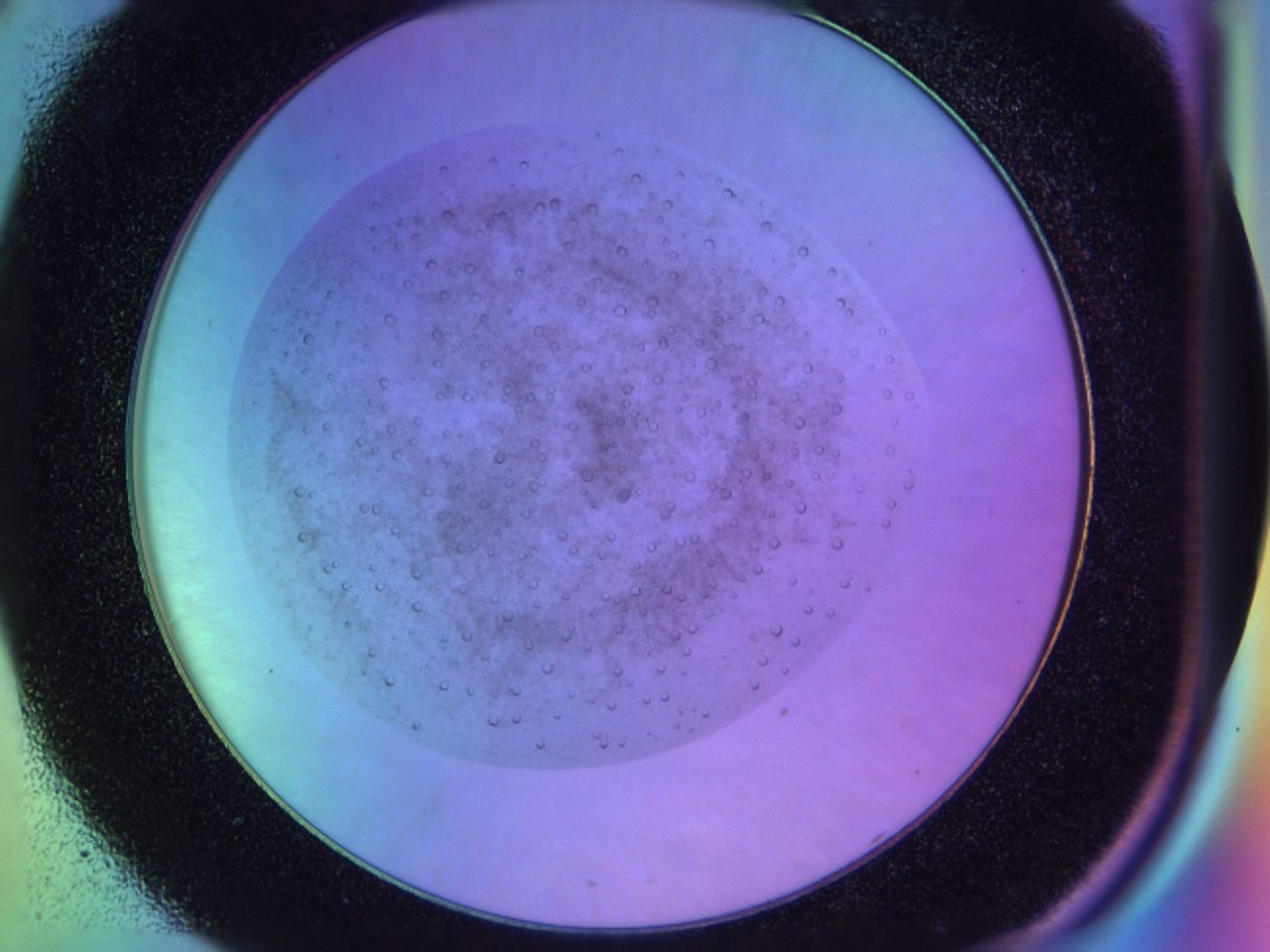 031j_C8_ImagerDefaults_6.jpg