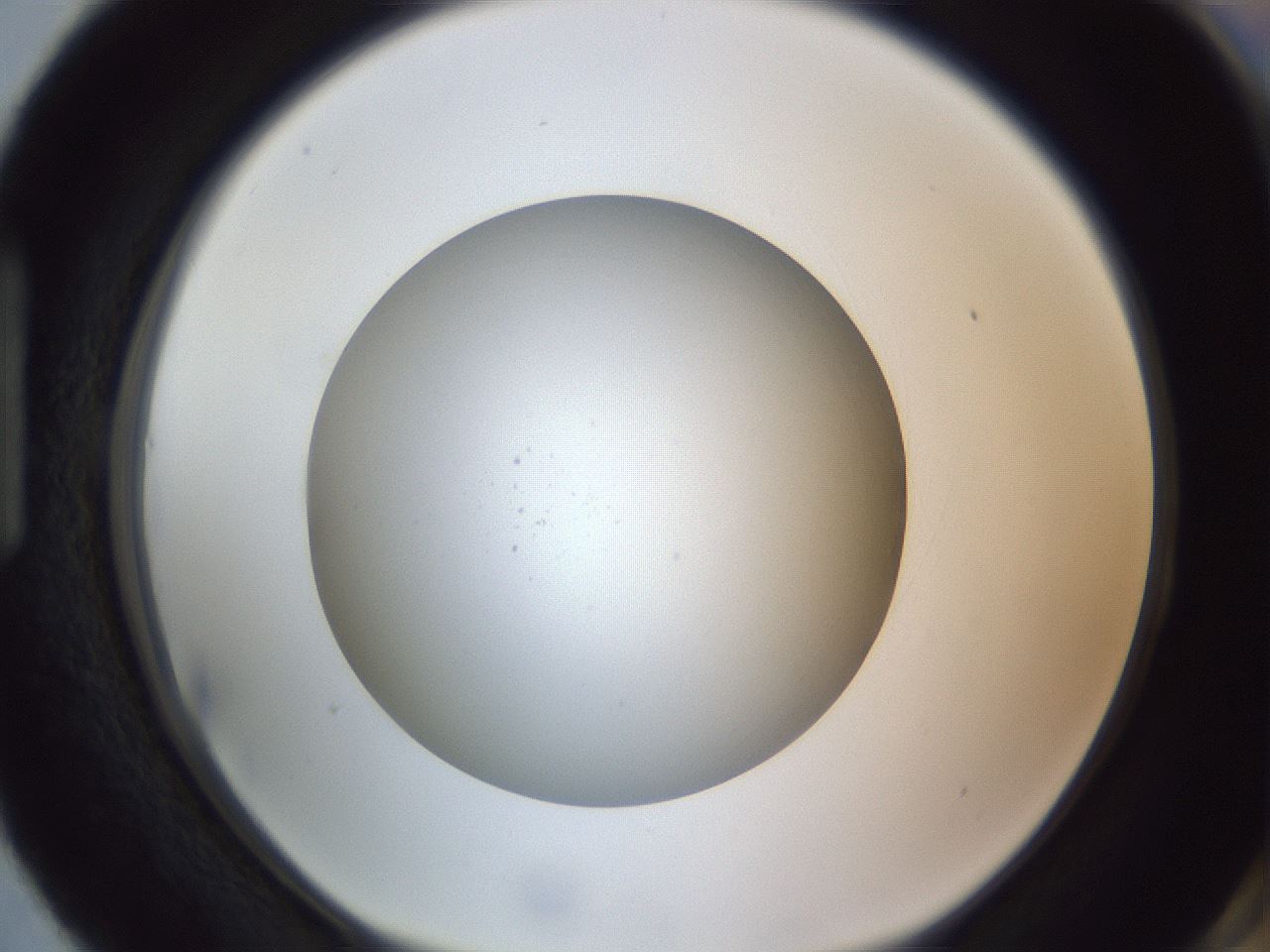 folderID308_plateID1308_batchID4271_wellNum87_profileID1_d1_r78958_ef.jpg