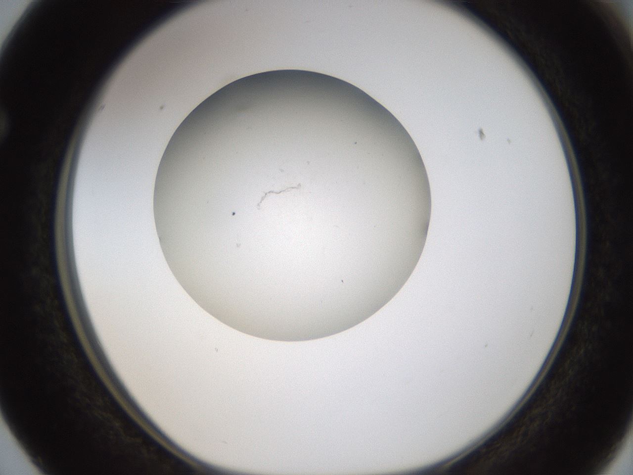 folderID319_plateID1319_batchID4362_wellNum63_profileID1_d1_r79030_ef.jpg