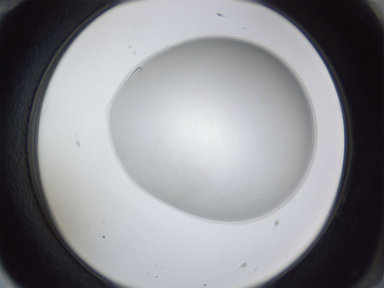 folderID31_plateID1031_batchID1982_wellNum70_profileID1_d2_r44463_ef.jpg
