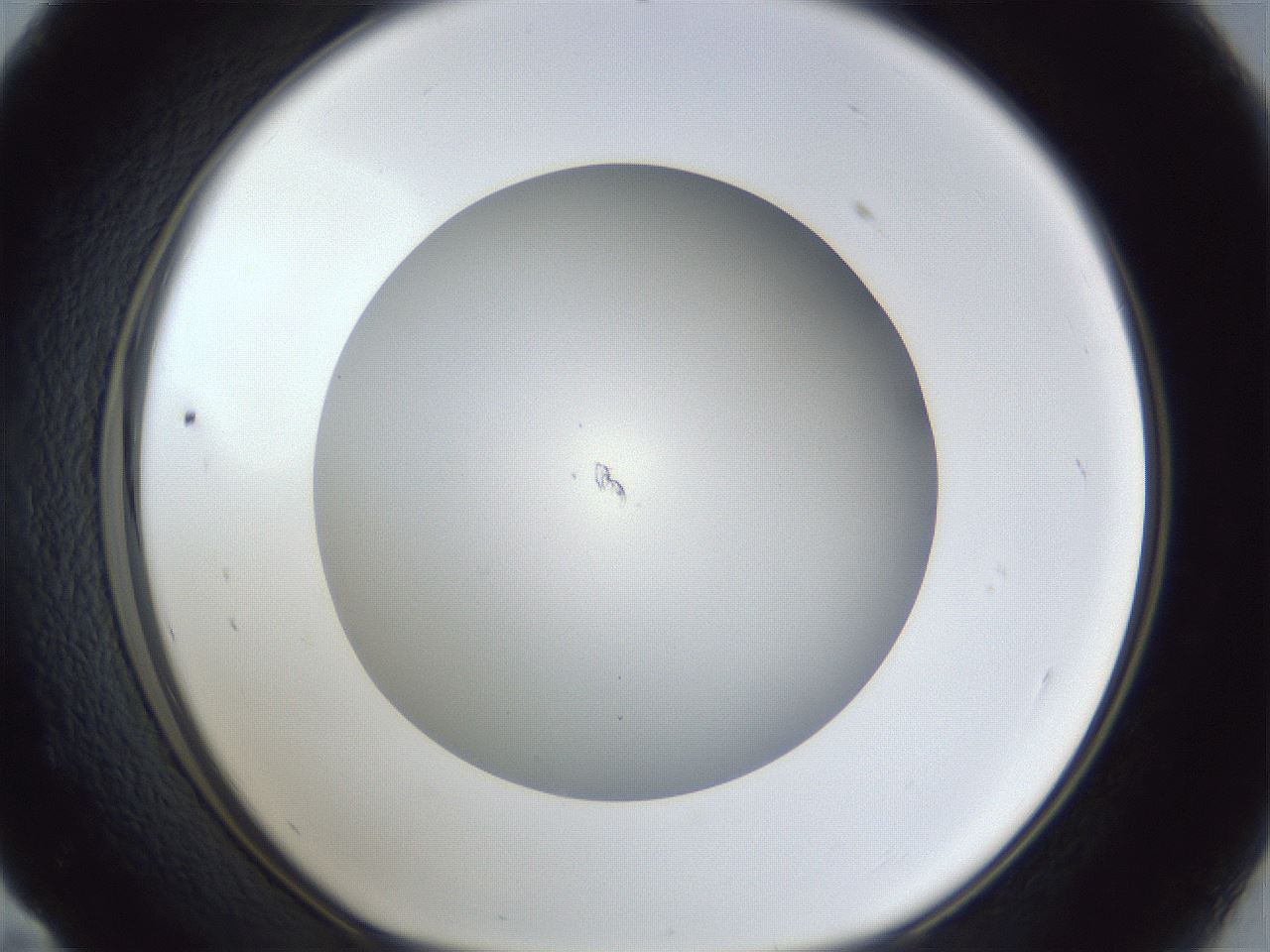 folderID31_plateID1031_batchID1999_wellNum59_profileID1_d1_r44440_ef.jpg