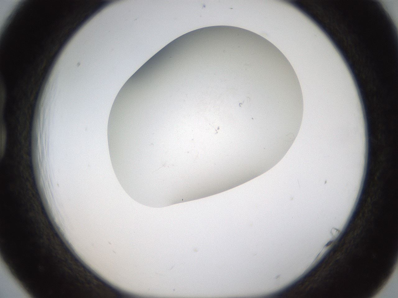 folderID320_plateID1320_batchID4375_wellNum18_profileID1_d1_r79177_ef.jpg