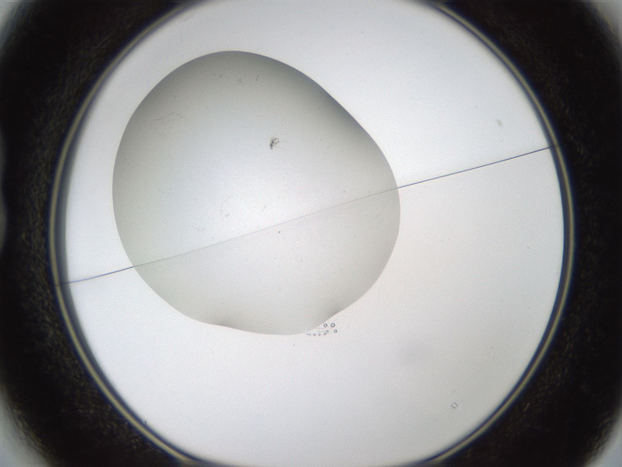 folderID320_plateID1320_batchID4375_wellNum13_profileID1_d1_r79172_ef.jpg