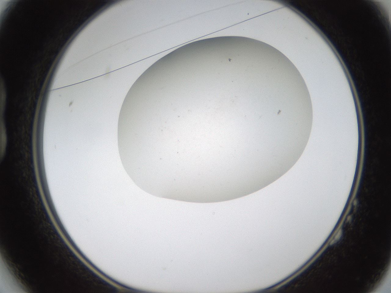 folderID320_plateID1320_batchID4375_wellNum14_profileID1_d1_r79173_ef.jpg