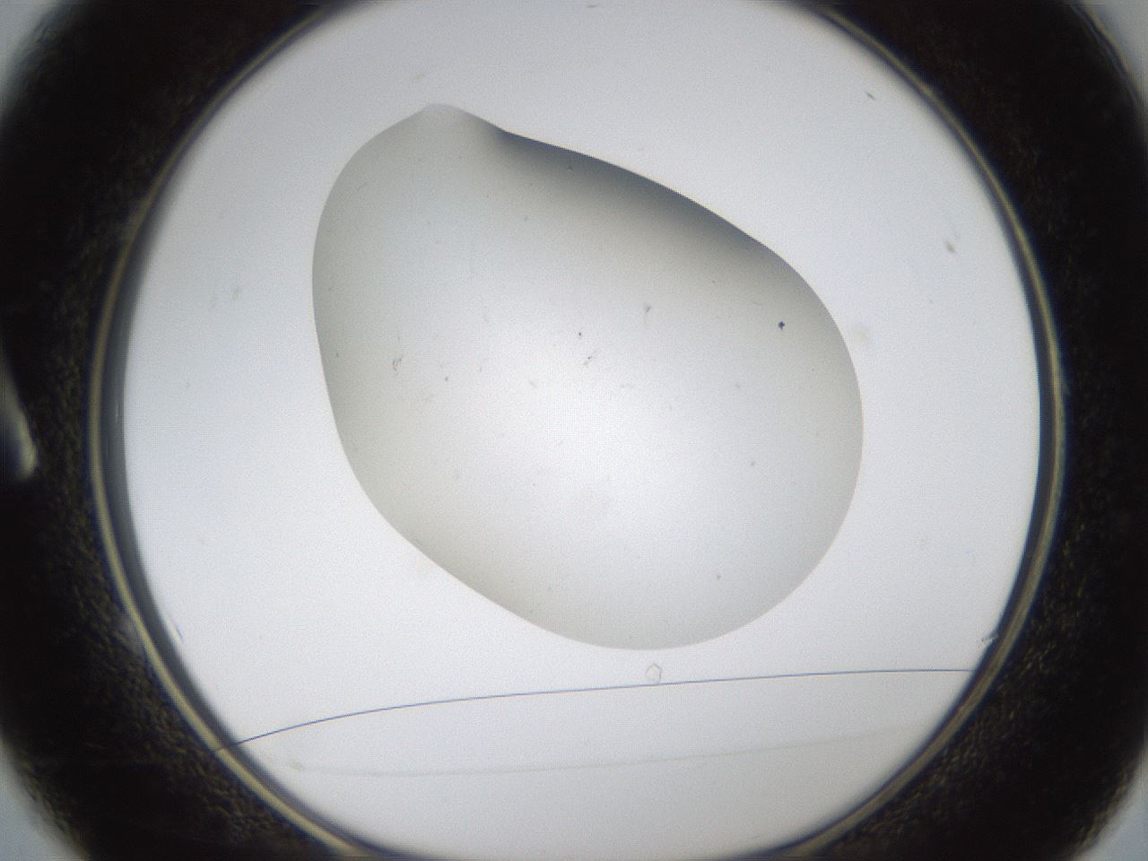 folderID320_plateID1320_batchID4375_wellNum1_profileID1_d1_r79160_ef.jpg