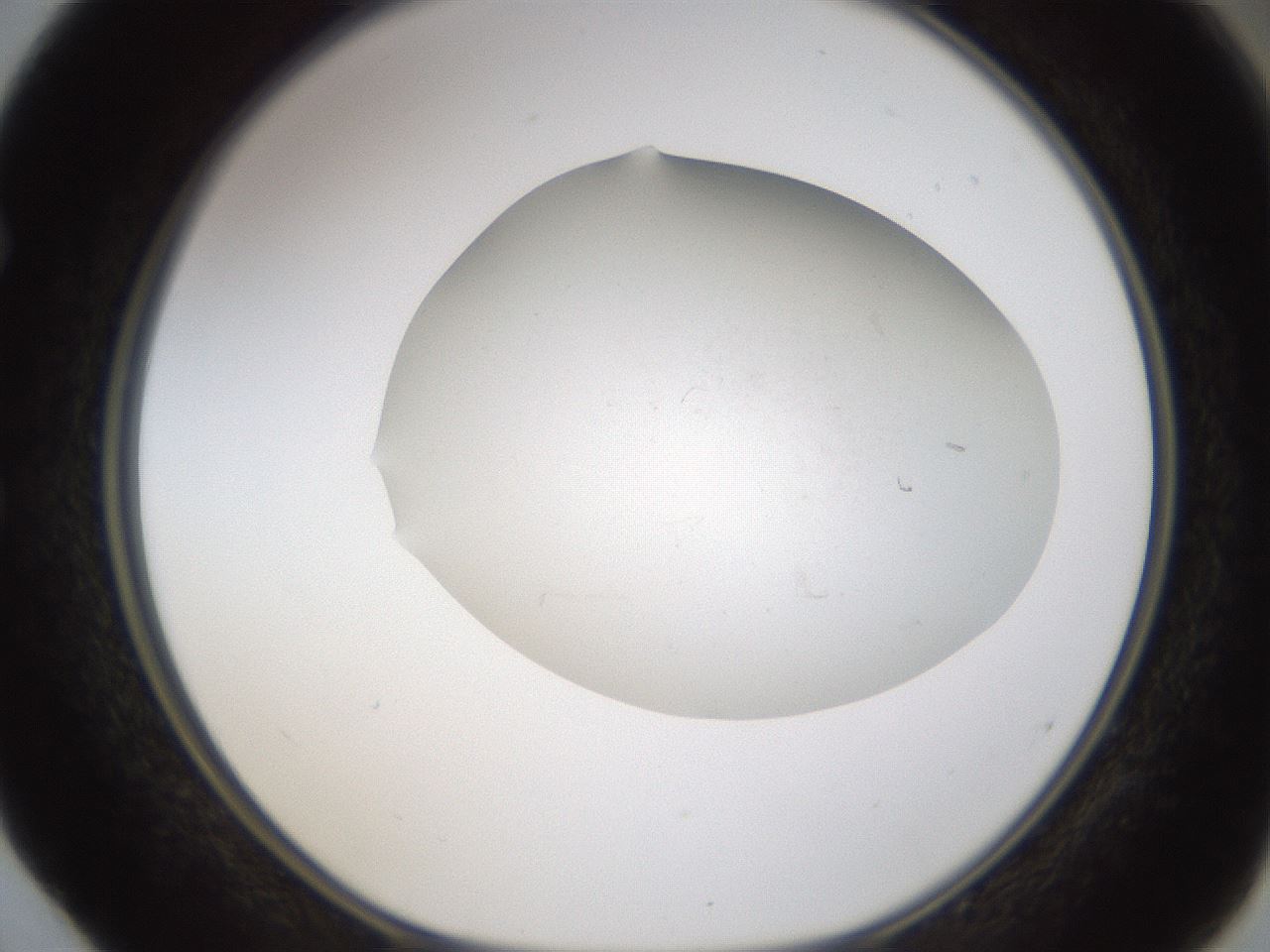 folderID320_plateID1320_batchID4375_wellNum52_profileID1_d1_r79211_ef.jpg