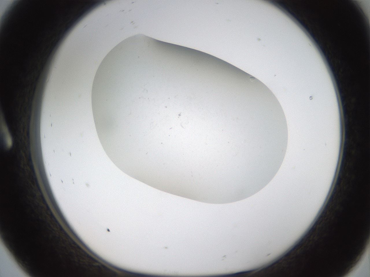 folderID320_plateID1320_batchID4375_wellNum8_profileID1_d1_r79167_ef.jpg