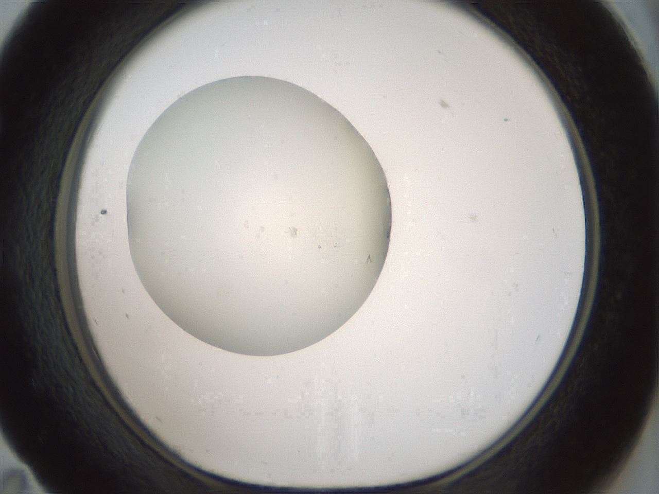 folderID332_plateID1332_batchID4524_wellNum59_profileID1_d1_r80130_ef.jpg