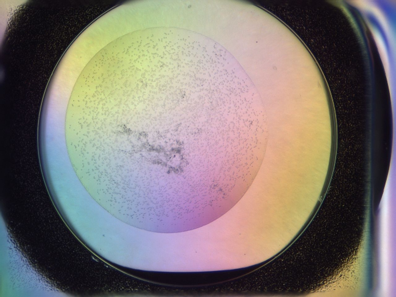 031m_F8_ImagerDefaults_6.jpg