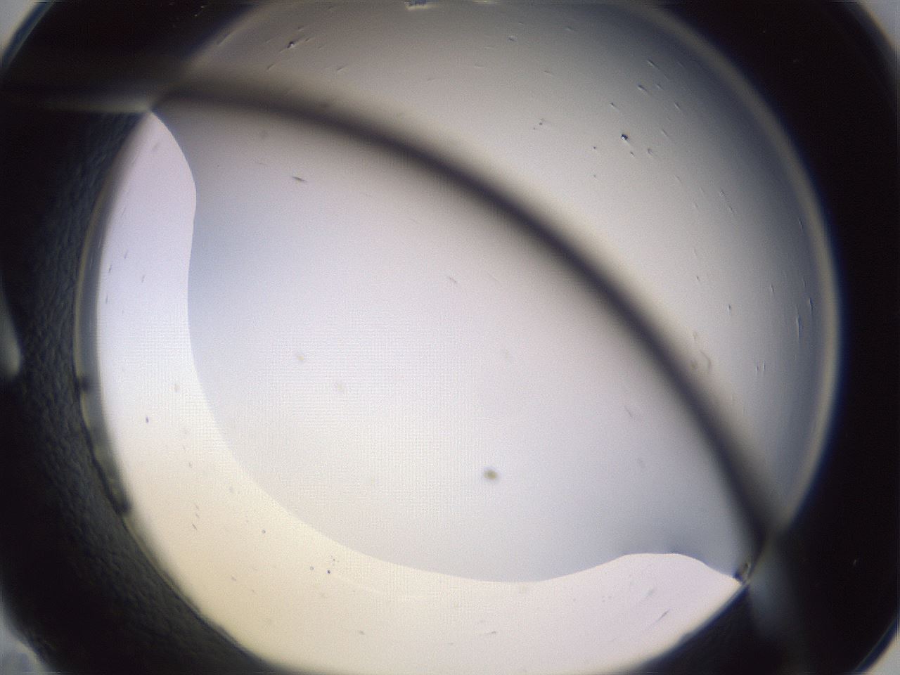 folderID341_plateID1341_batchID4589_wellNum11_profileID1_d1_r80668_ef.jpg