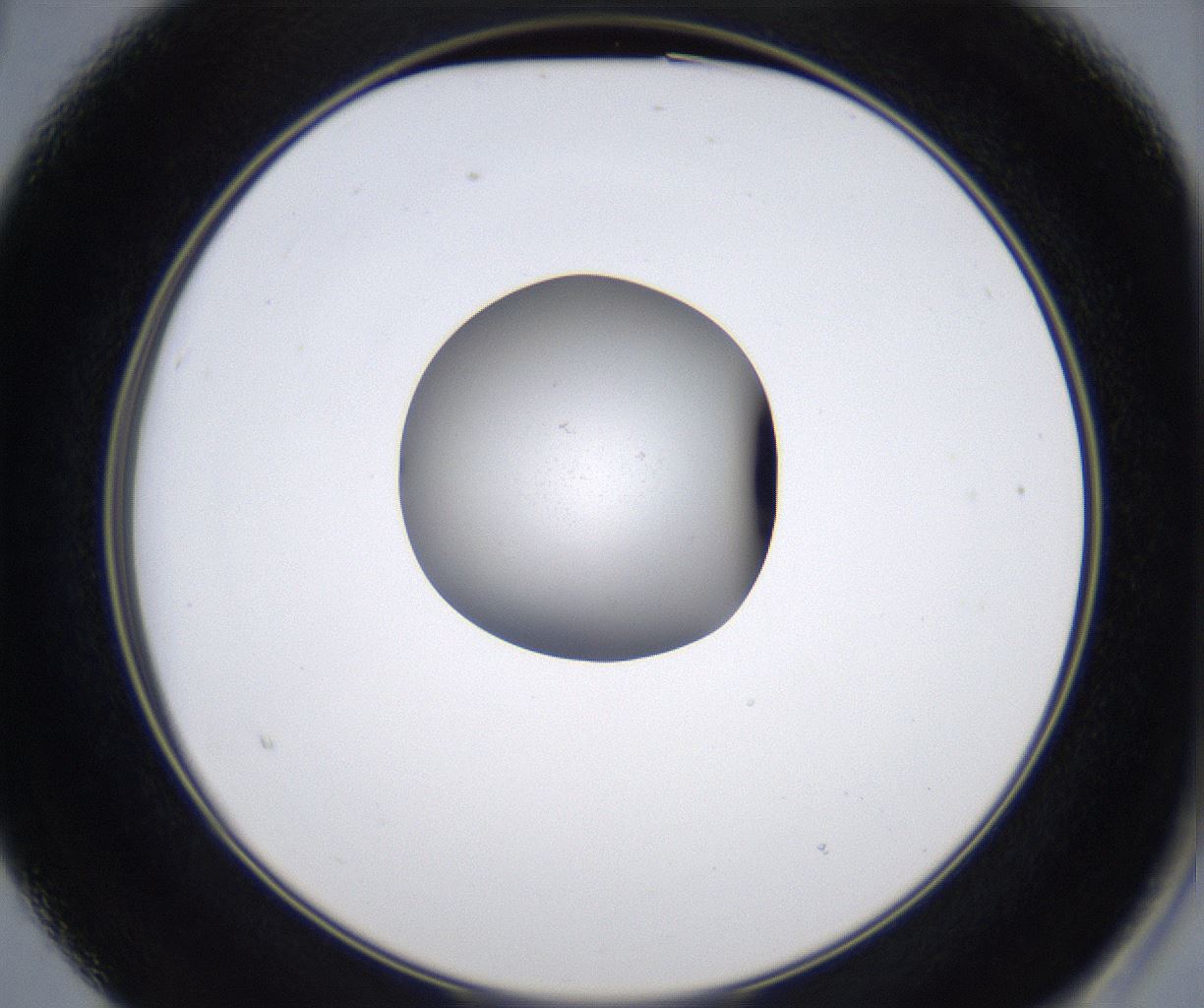 folderID345_plateID2345_batchID11061_wellNum15_profileID1_d2_r165216_ef.jpg