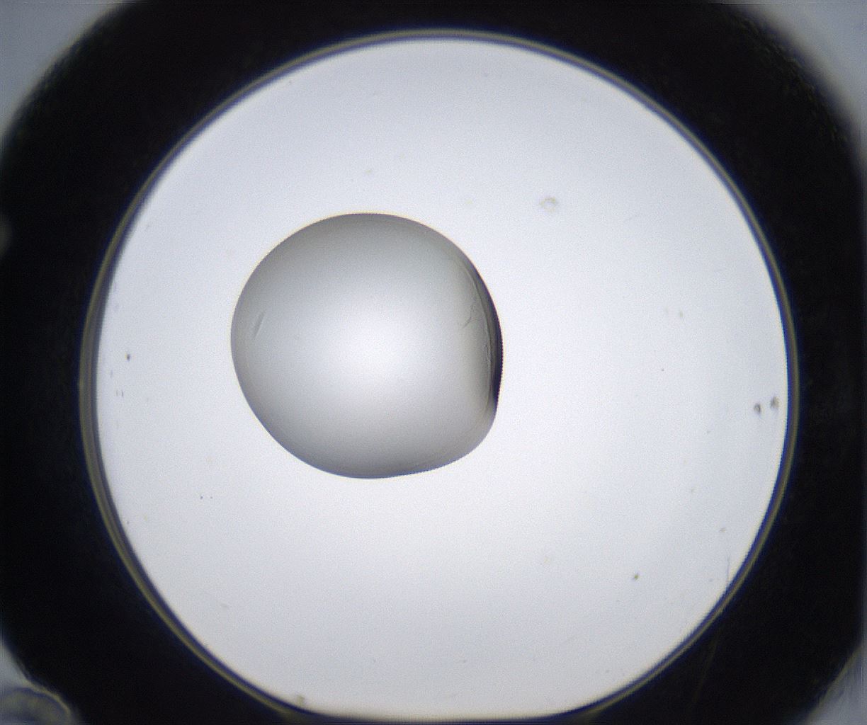 folderID345_plateID2345_batchID11061_wellNum70_profileID1_d1_r165325_ef.jpg