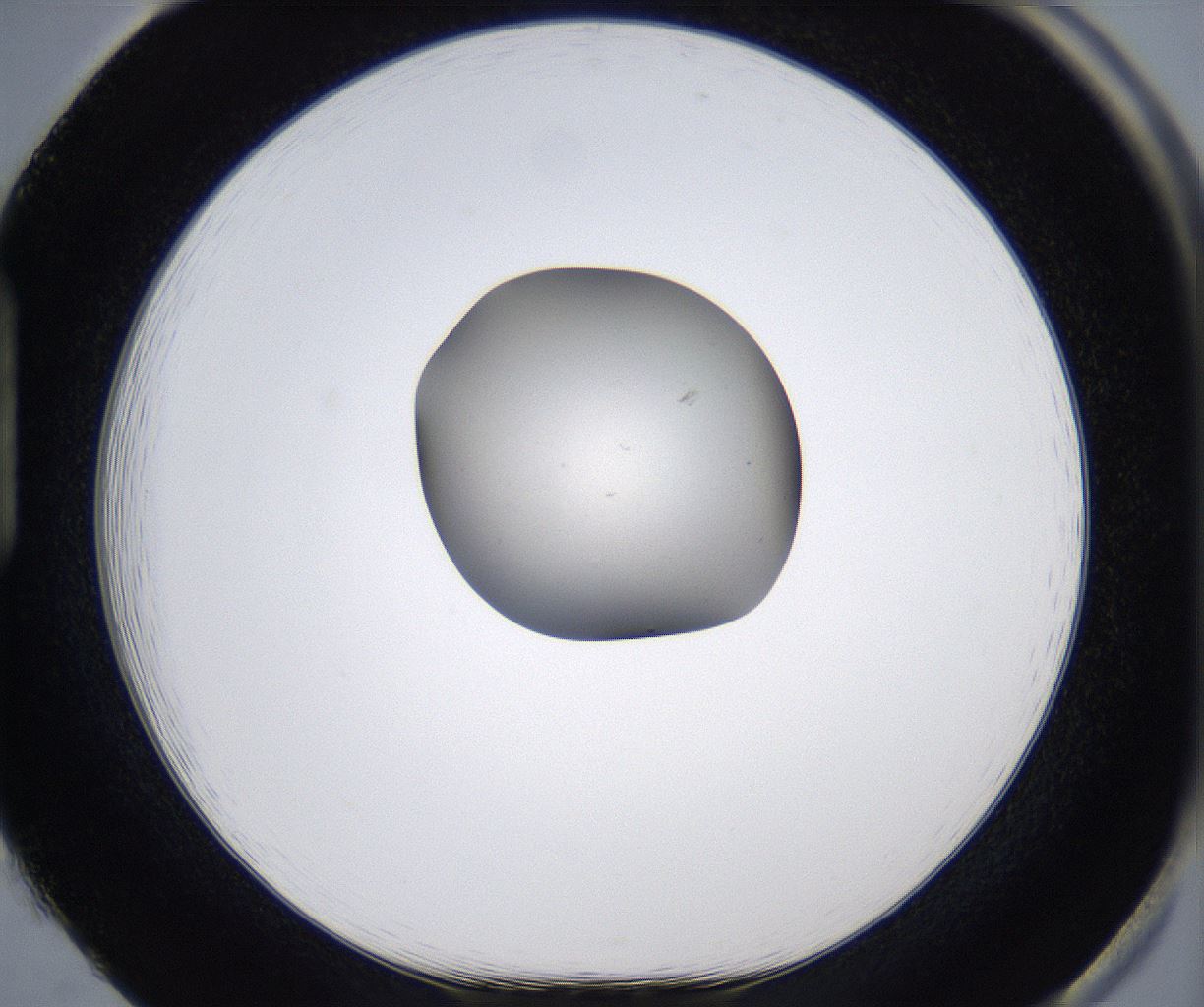 folderID345_plateID2345_batchID11061_wellNum85_profileID1_d1_r165355_ef.jpg