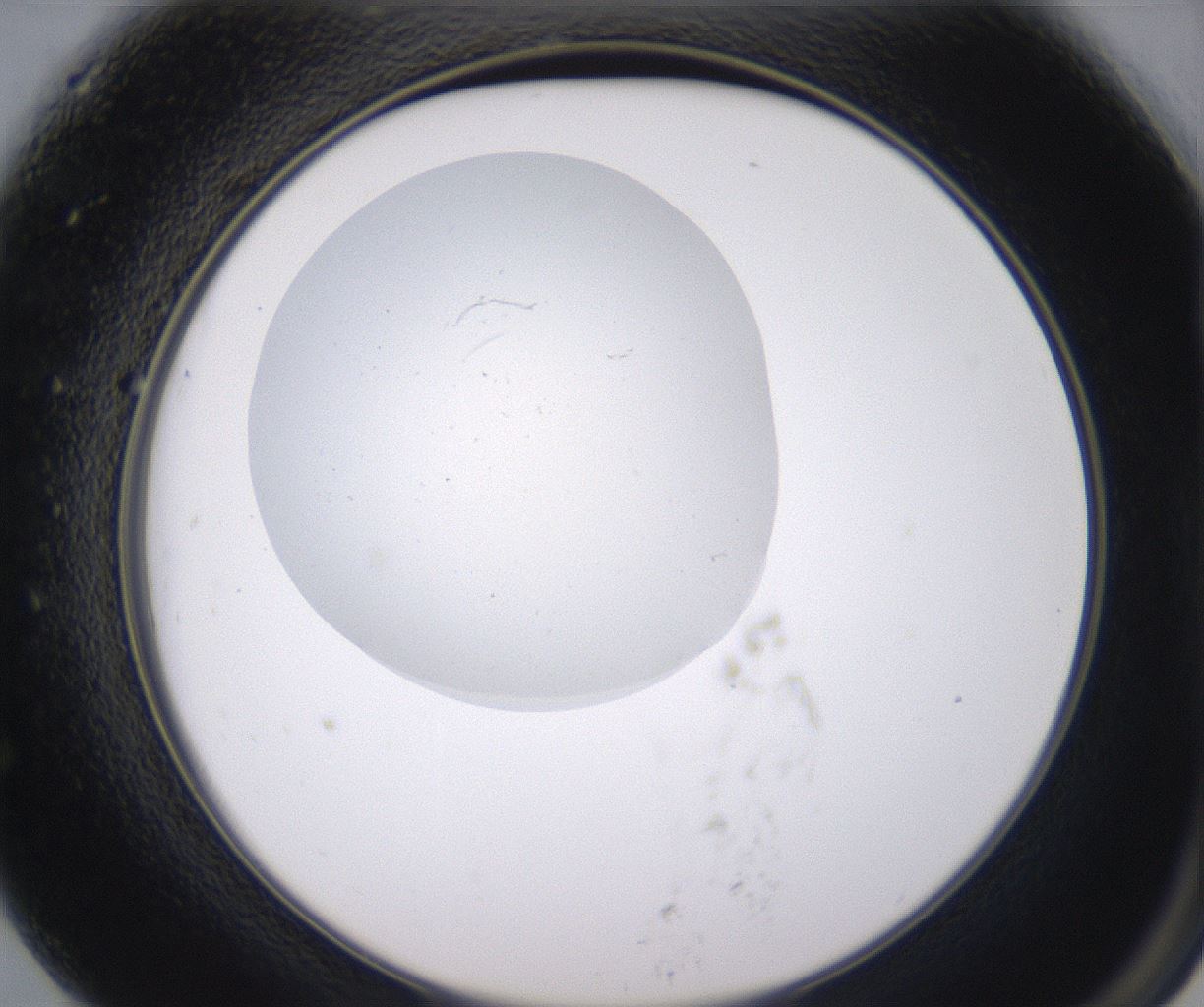 folderID346_plateID2346_batchID11064_wellNum79_profileID1_d2_r166304_ef.jpg