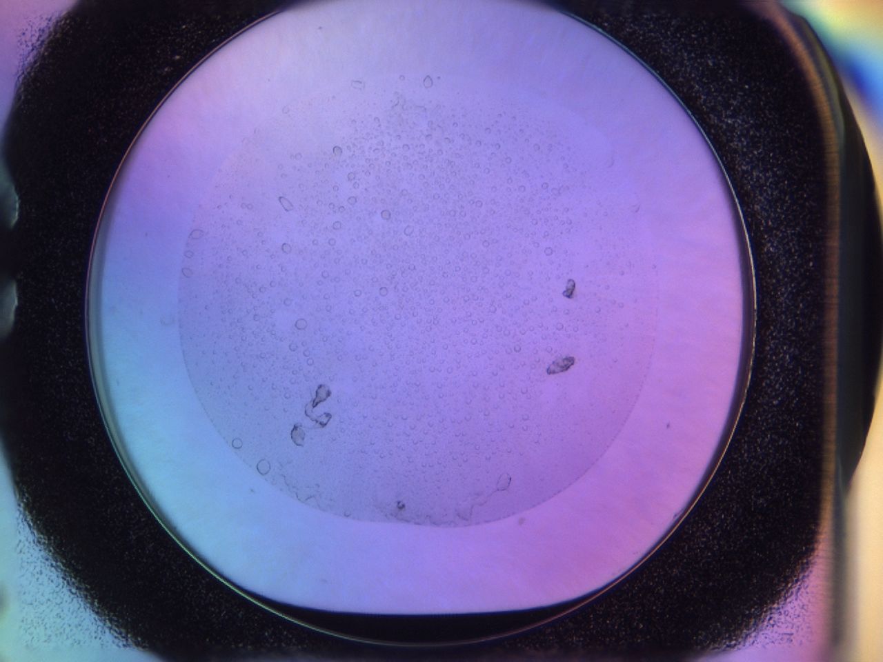 031n_C5_ImagerDefaults_6.jpg