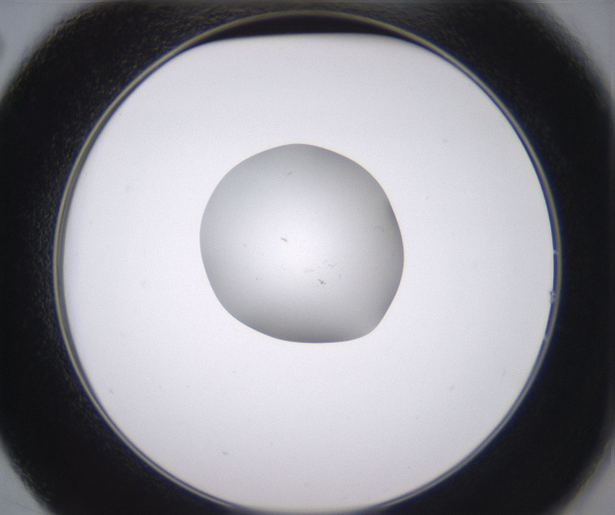 folderID348_plateID2348_batchID11068_wellNum14_profileID1_d2_r166366_ef.jpg