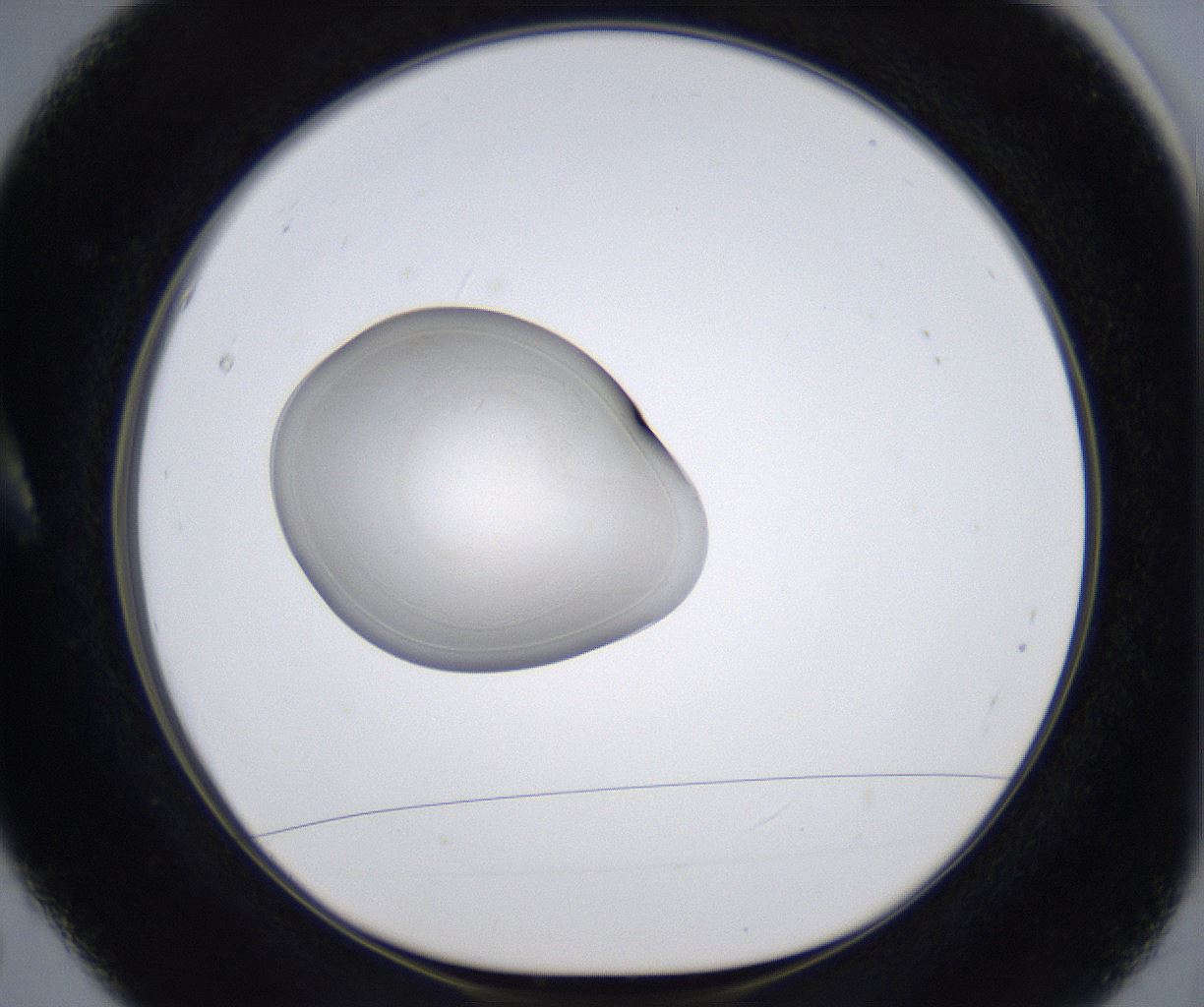 folderID349_plateID2349_batchID11067_wellNum5_profileID1_d1_r165579_ef.jpg