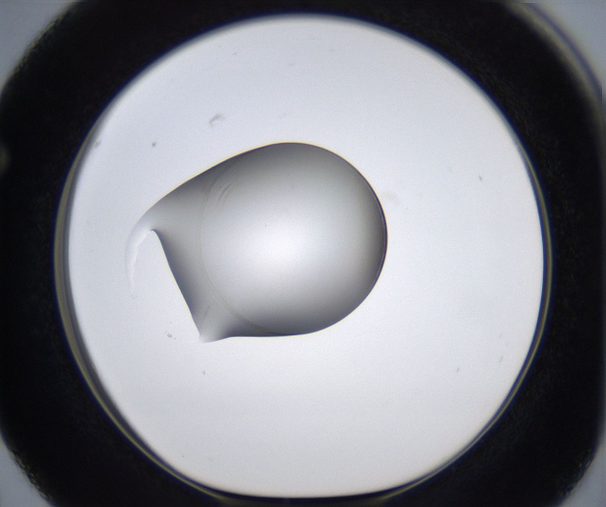 folderID349_plateID2349_batchID11067_wellNum63_profileID1_d1_r165695_ef.jpg
