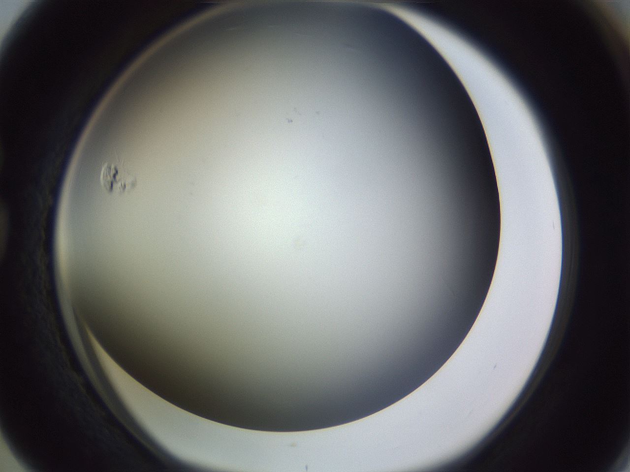 folderID353_plateID1353_batchID4708_wellNum76_profileID1_d1_r81783_ef.jpg