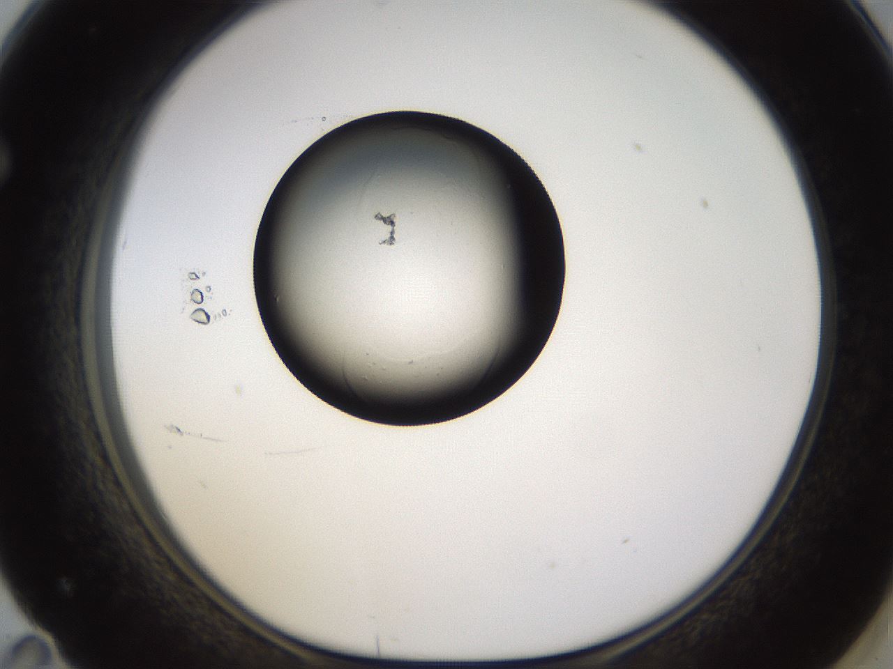 folderID356_plateID1356_batchID4715_wellNum71_profileID1_d1_r82066_ef.jpg