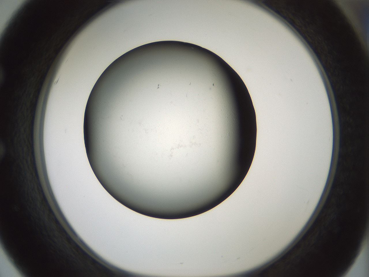 folderID358_plateID1358_batchID4717_wellNum51_profileID1_d1_r82238_ef.jpg