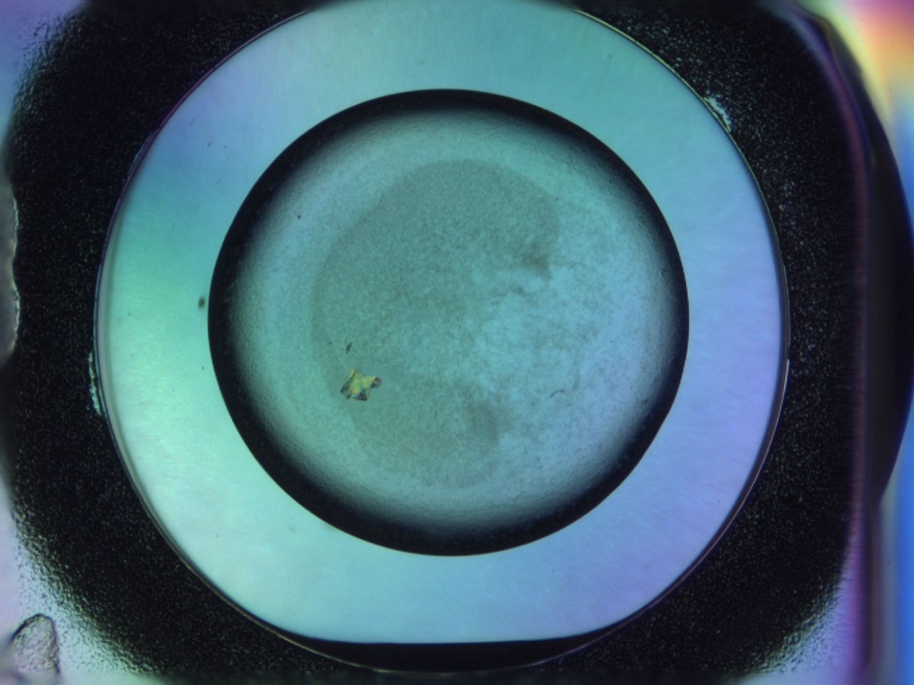 031q_B11_ImagerDefaults_6.jpg