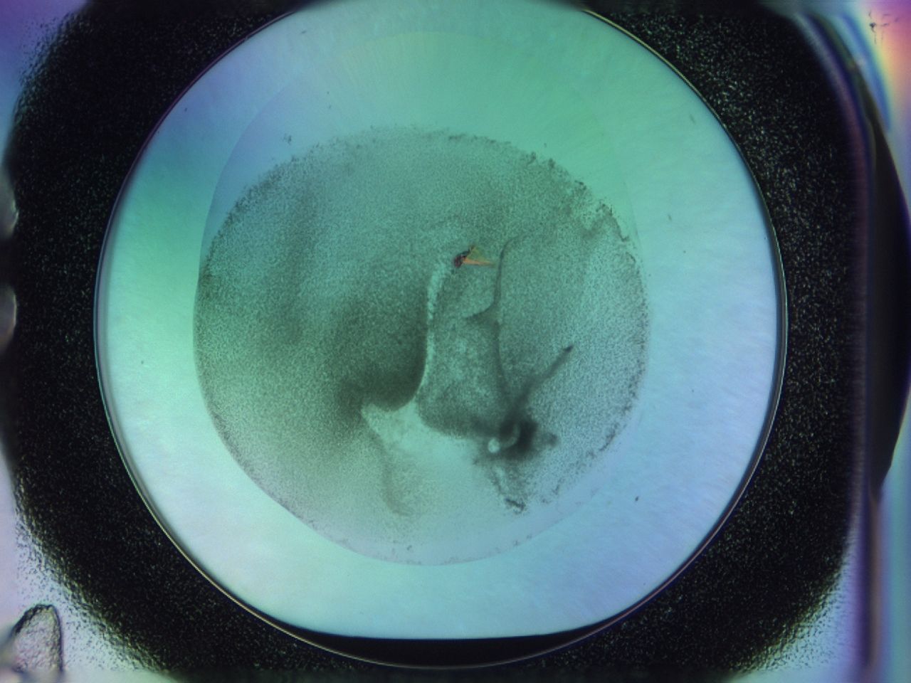 031r_C11_ImagerDefaults_6.jpg