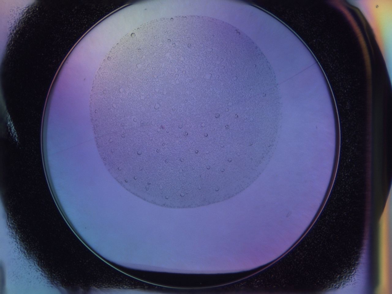 031s_A4_ImagerDefaults_6.jpg
