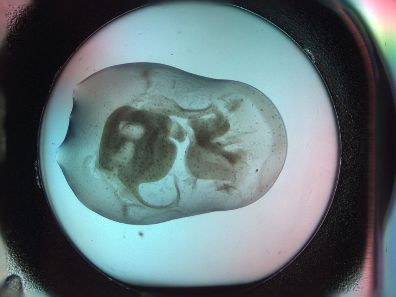 031t_B11_ImagerDefaults_7.jpg