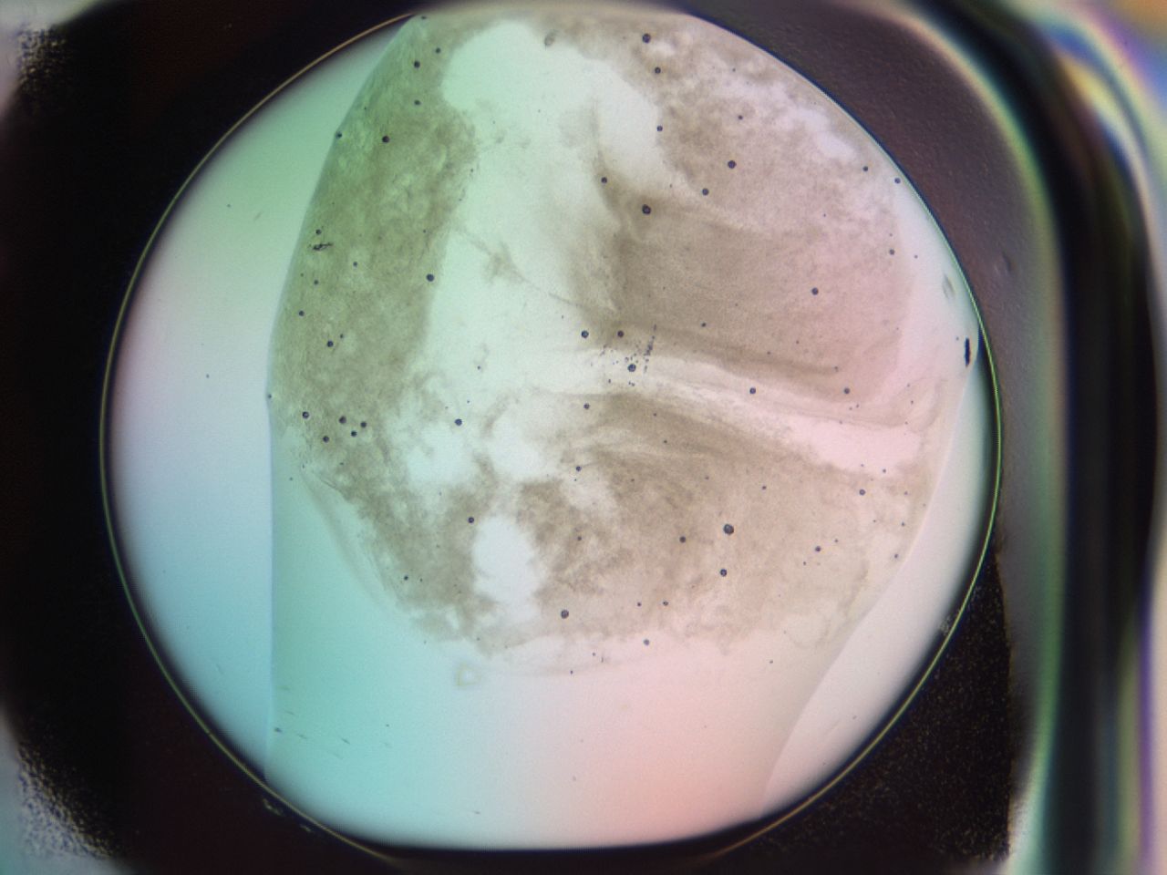 031u_F8_ImagerDefaults_7.jpg