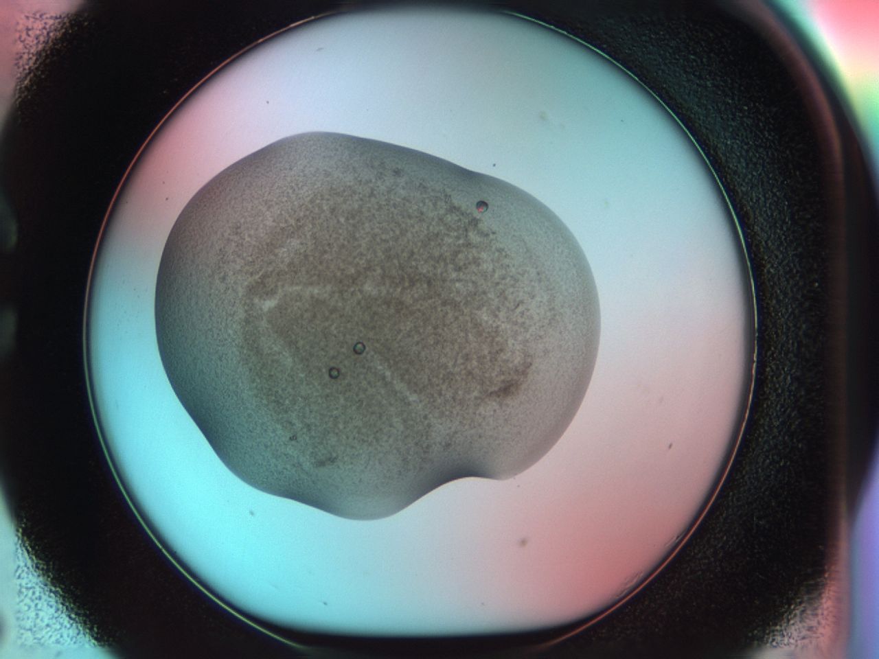 031u_C5_ImagerDefaults_7.jpg
