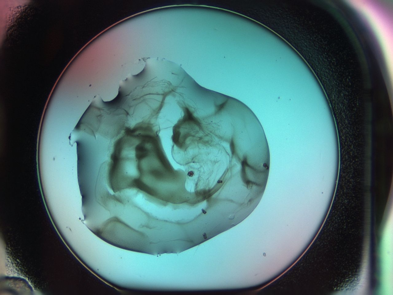 031u_D12_ImagerDefaults_7.jpg