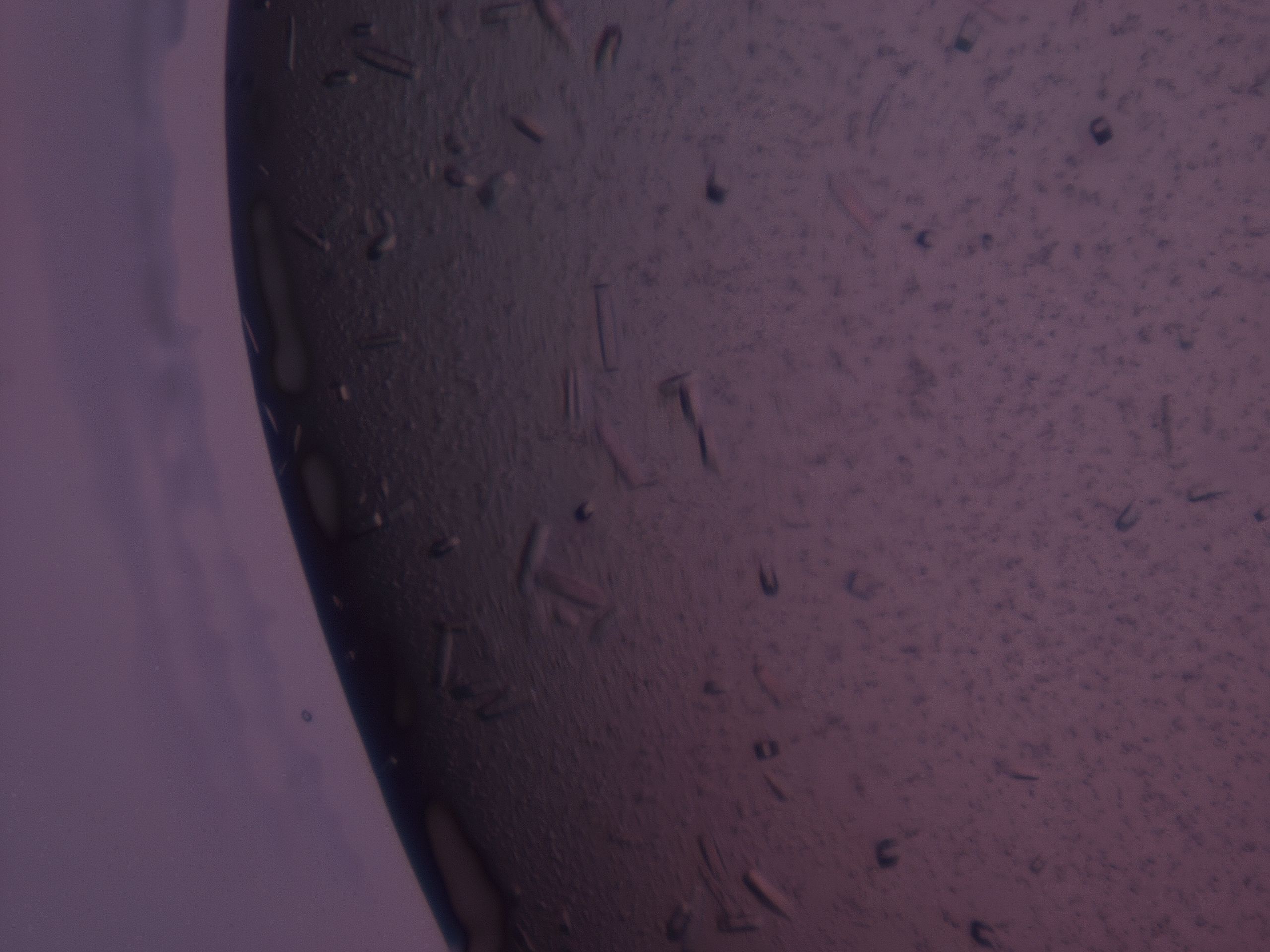 032g_C7_HighResolution_9.jpg