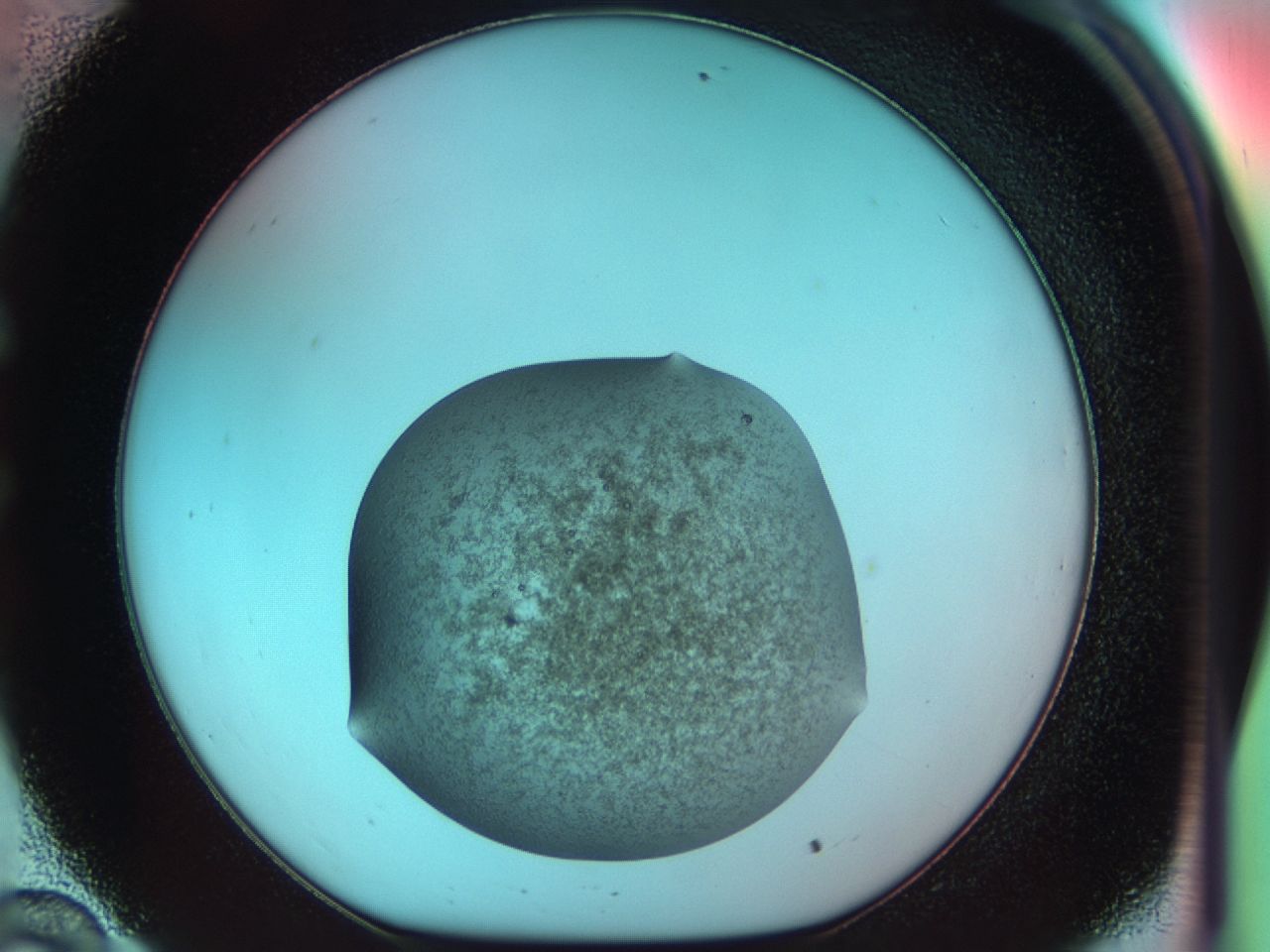 0331_C10_ImagerDefaults_6.jpg