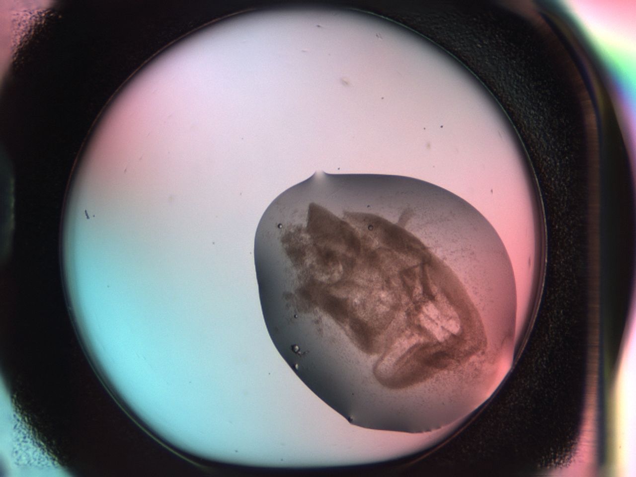 0331_D6_ImagerDefaults_6.jpg