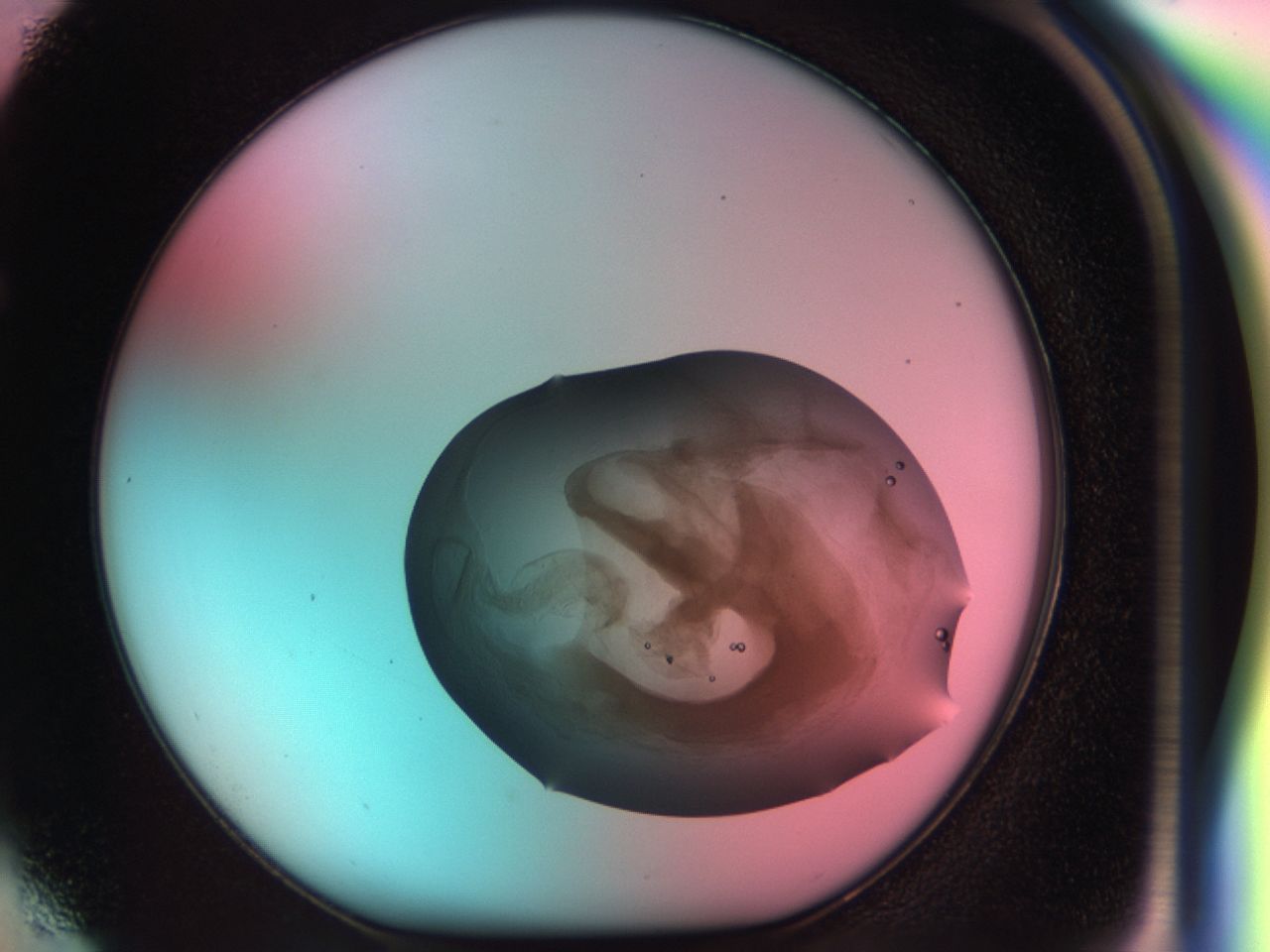 0331_F4_ImagerDefaults_6.jpg