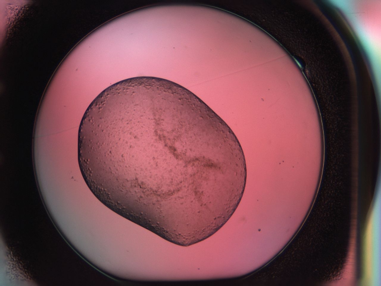 0336_E1_ImagerDefaults_6.jpg