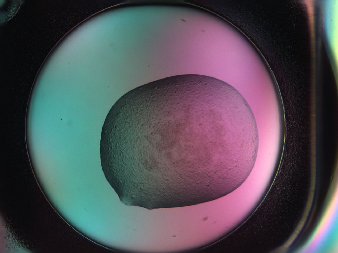0336_F10_ImagerDefaults_6.jpg
