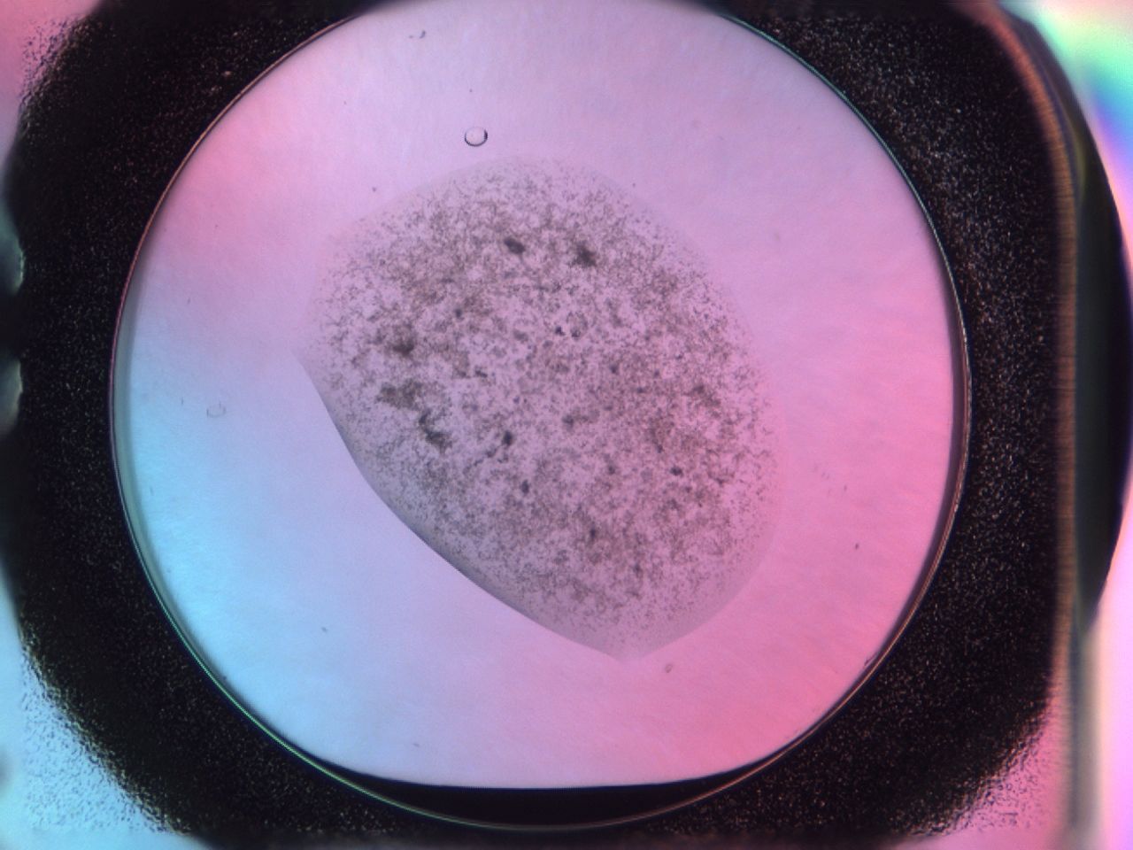 033d_C5_ImagerDefaults_6.jpg