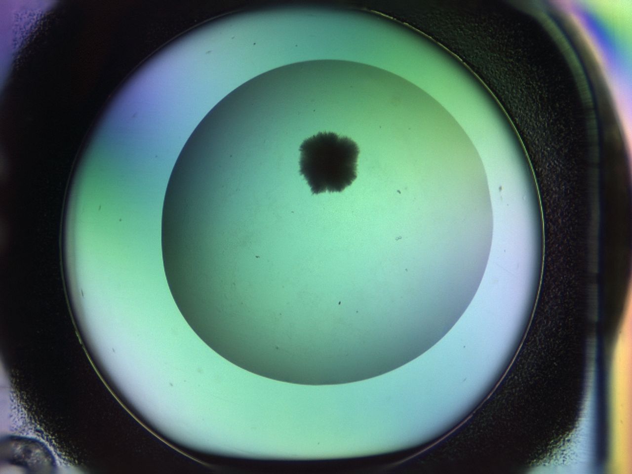 033m_C12_ImagerDefaults_8.jpg