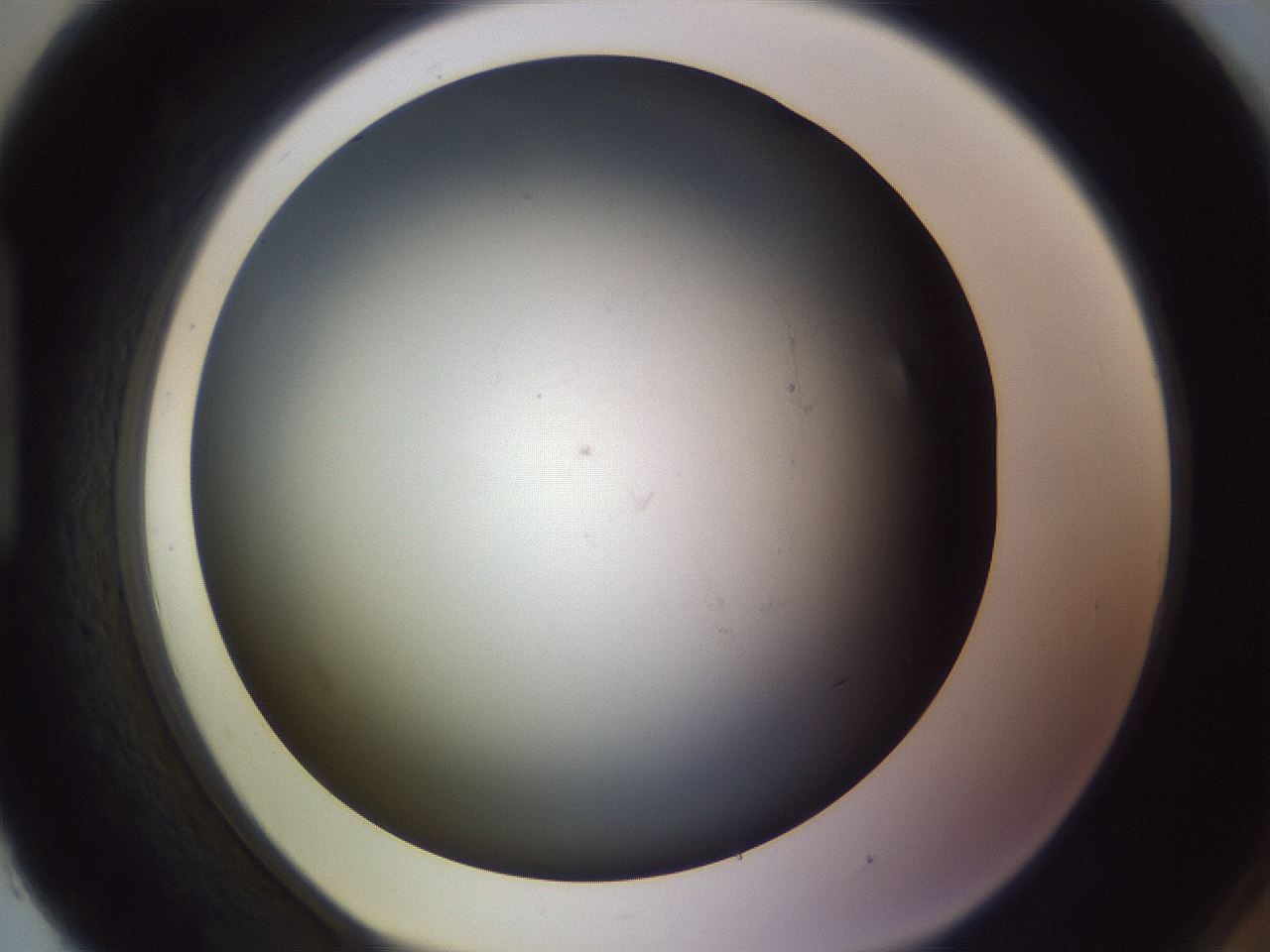 folderID366_plateID1366_batchID4730_wellNum93_profileID1_d1_r82956_ef.jpg