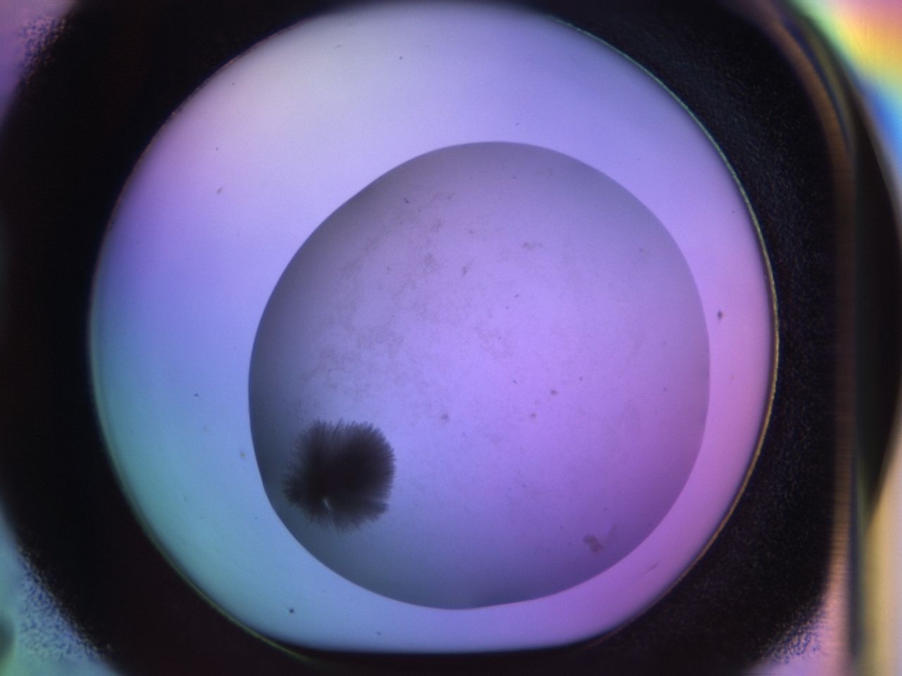 033m_D7_ImagerDefaults_7.jpg