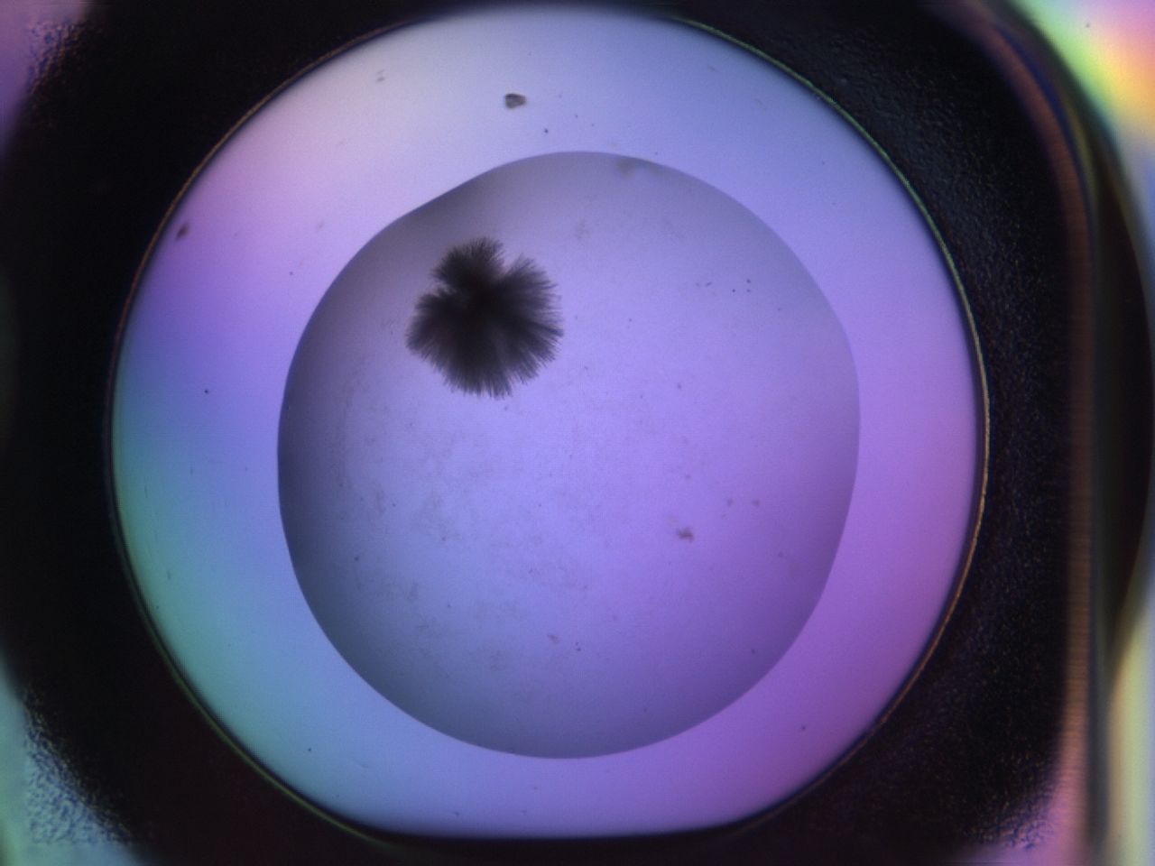 033m_D8_ImagerDefaults_7.jpg