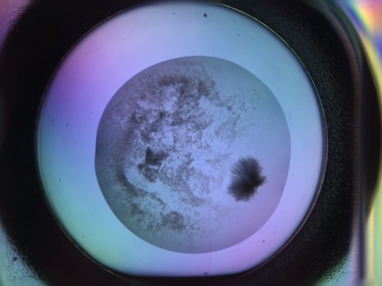 033m_D9_ImagerDefaults_7.jpg