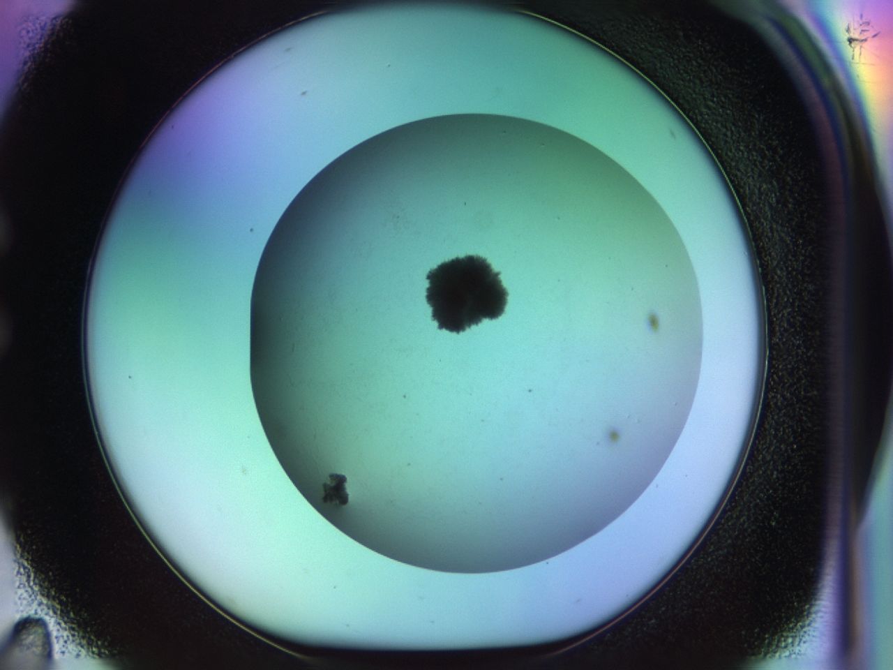 033m_C11_ImagerDefaults_8.jpg